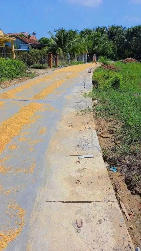 Bán lô đất 3 mặt tiền 302,5m² Tân Hưng Ninh Hòa 850 triệu - Ảnh thu nhỏ 2