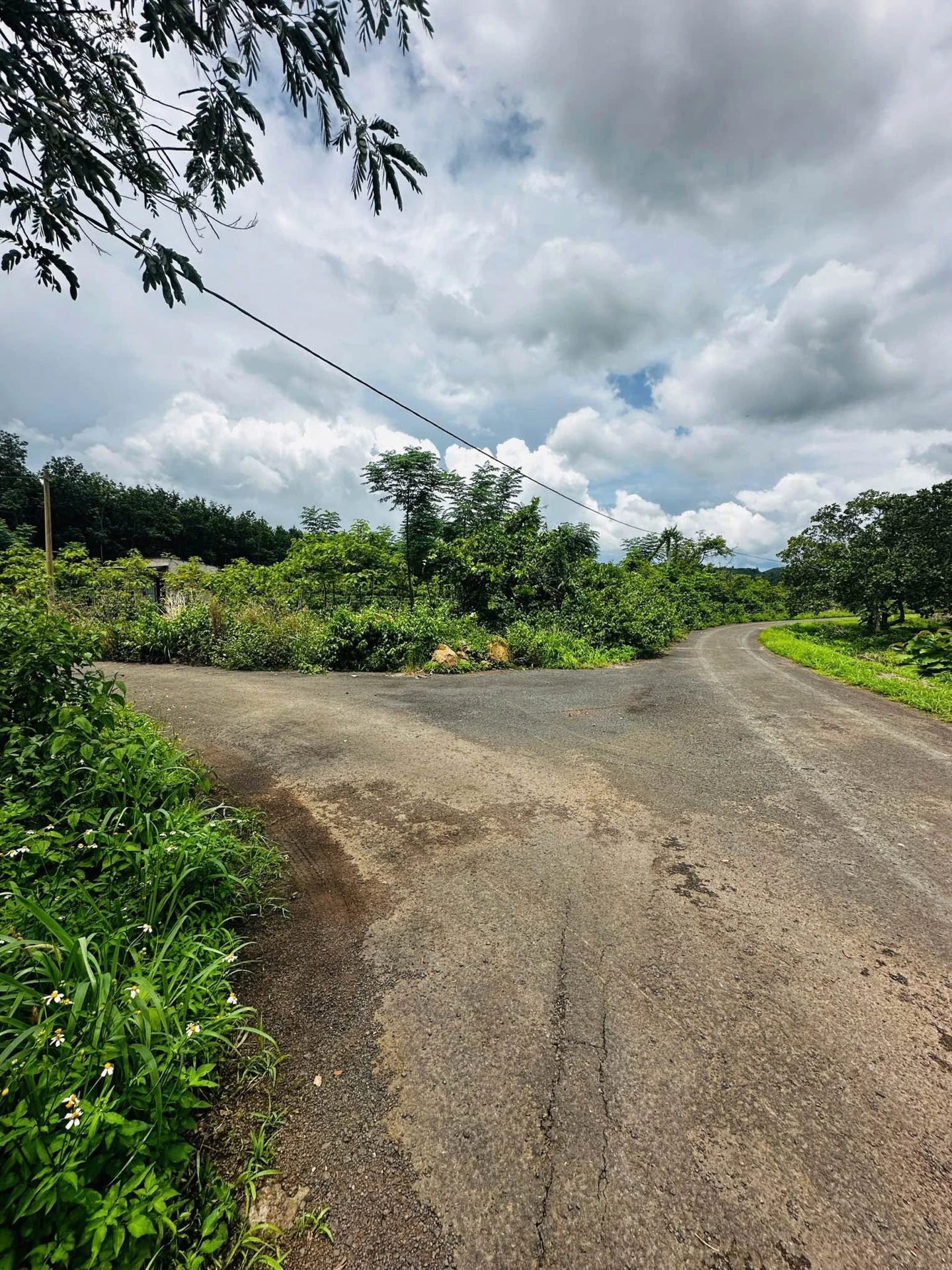 Bán vườn cà phê 1,7ha gần Cụm công nghiệp Hòa Phú, Buôn Ma Thuột - Ảnh 1