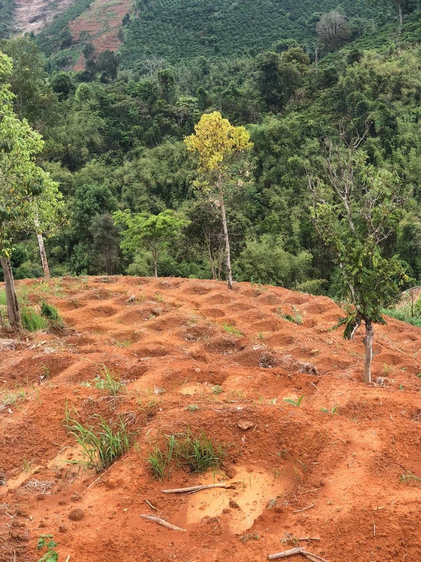 Bán 2,8ha đất Krông Nô Lâm Đồng, 1,2 tỷ