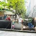 Bán đất kiệt Bình An Đà Nẵng 61m2 3 tỷ - Ảnh thu nhỏ 2