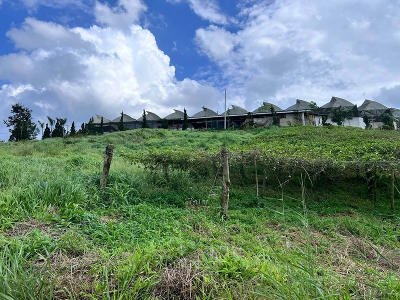 Bán đất view 2 mặt hồ Thủy điện Đại Ninh, Lâm Đồng 5.846 m²