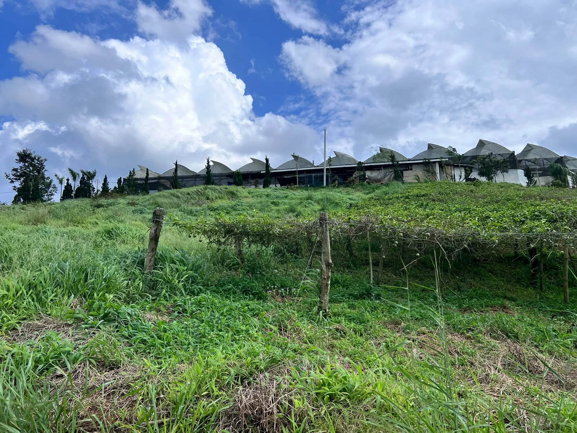 Bán đất view 2 mặt hồ Thủy điện Đại Ninh, Lâm Đồng 5.846 m² - Ảnh 1