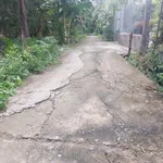 Bán đất nền biệt thự 400m2 có 70m2 thổ cư tại xã Phú Nhuận, TP Bến Tre - Ảnh thu nhỏ 1