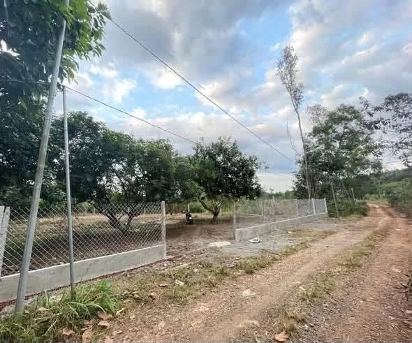 Bán đất Bình An Long Thành 1600m² (100 thổ cư) sổ hồng riêng