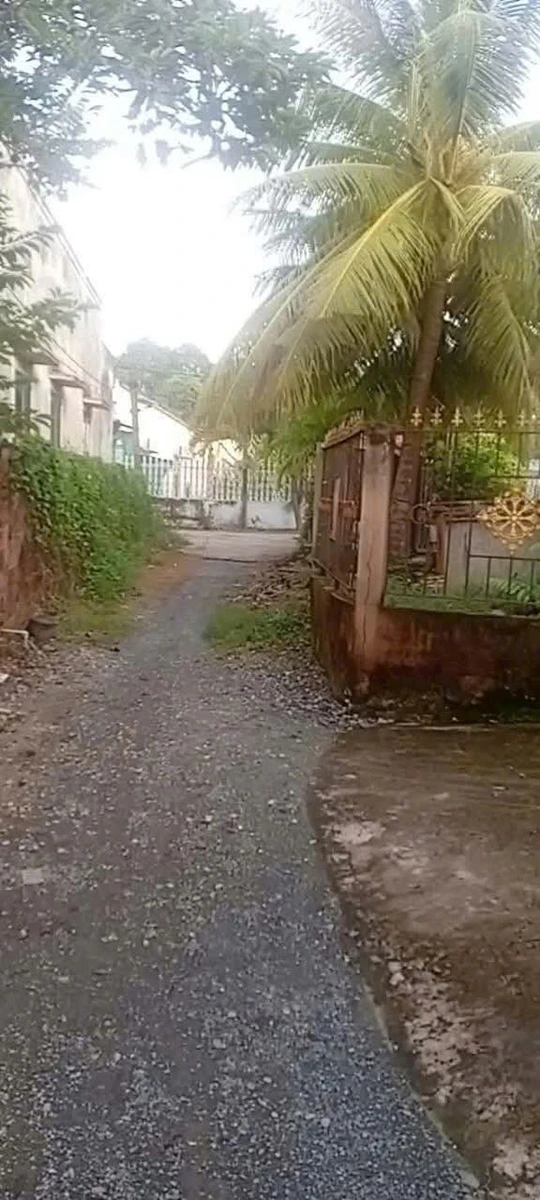 Bán đất thổ cư 100m² Bến Lưc Long An 1 tỷ 200 triệu - Ảnh thu nhỏ 3