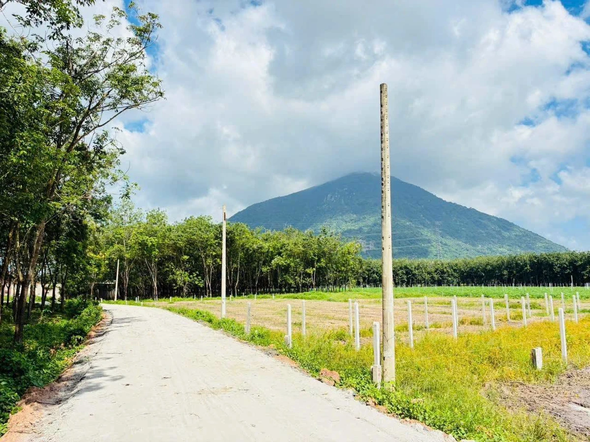 Bán nền đất 145m² full thổ cư xã Phan-Dương Minh Châu Tây Ninh - Ảnh thu nhỏ 3