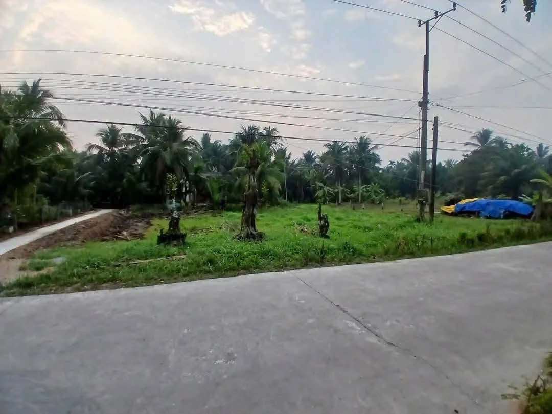 Bán nền thổ cư góc 822m2 xã Mỹ Thạnh, Giồng Trôm, Bến Tre - Ảnh thu nhỏ 3