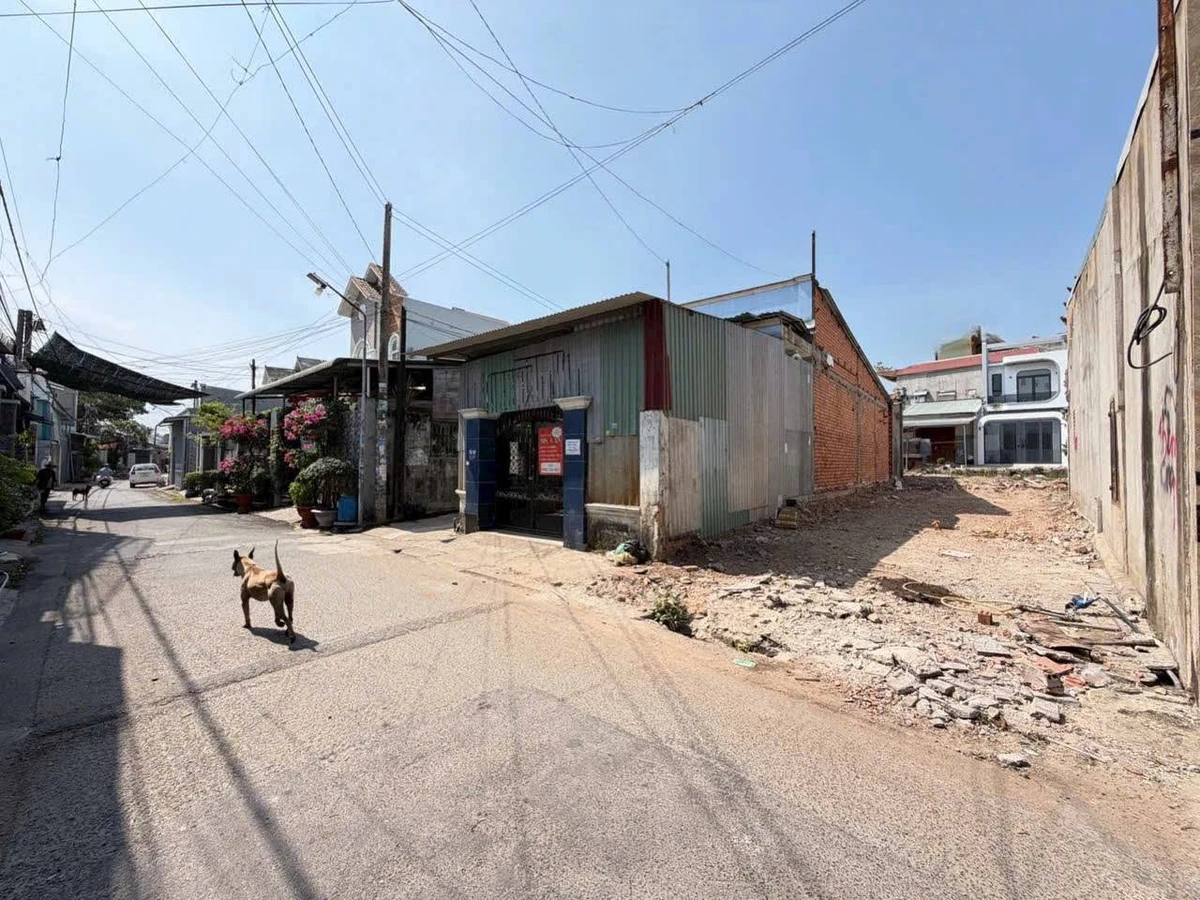 Bán lô đất mặt tiền Giáo Xứ Thuận Hoà 108m2 3 tỷ Tân Phú - Ảnh thu nhỏ 3