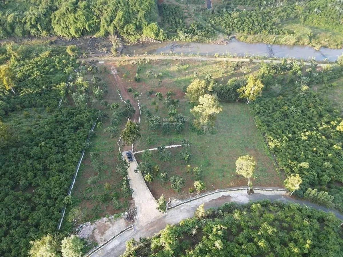 Bán đất nền 9.600m² ven sông Đại Nga Bảo Lộc 16 tỷ - Ảnh thu nhỏ 4
