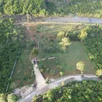 Bán đất nền 9.600m² ven sông Đại Nga Bảo Lộc 16 tỷ - Ảnh thu nhỏ 4