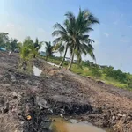 Bán đất vườn 1000 m² tại Thủ Thừa, Long An - Ảnh thu nhỏ 3