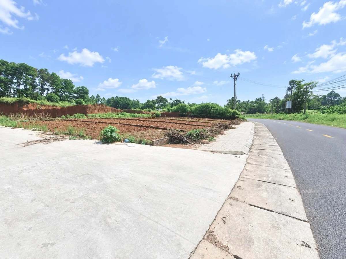 Bán đất Hóc Môn 106,6m² gần cụm công nghiệp Bắc Lâm Thao - Ảnh thu nhỏ 4