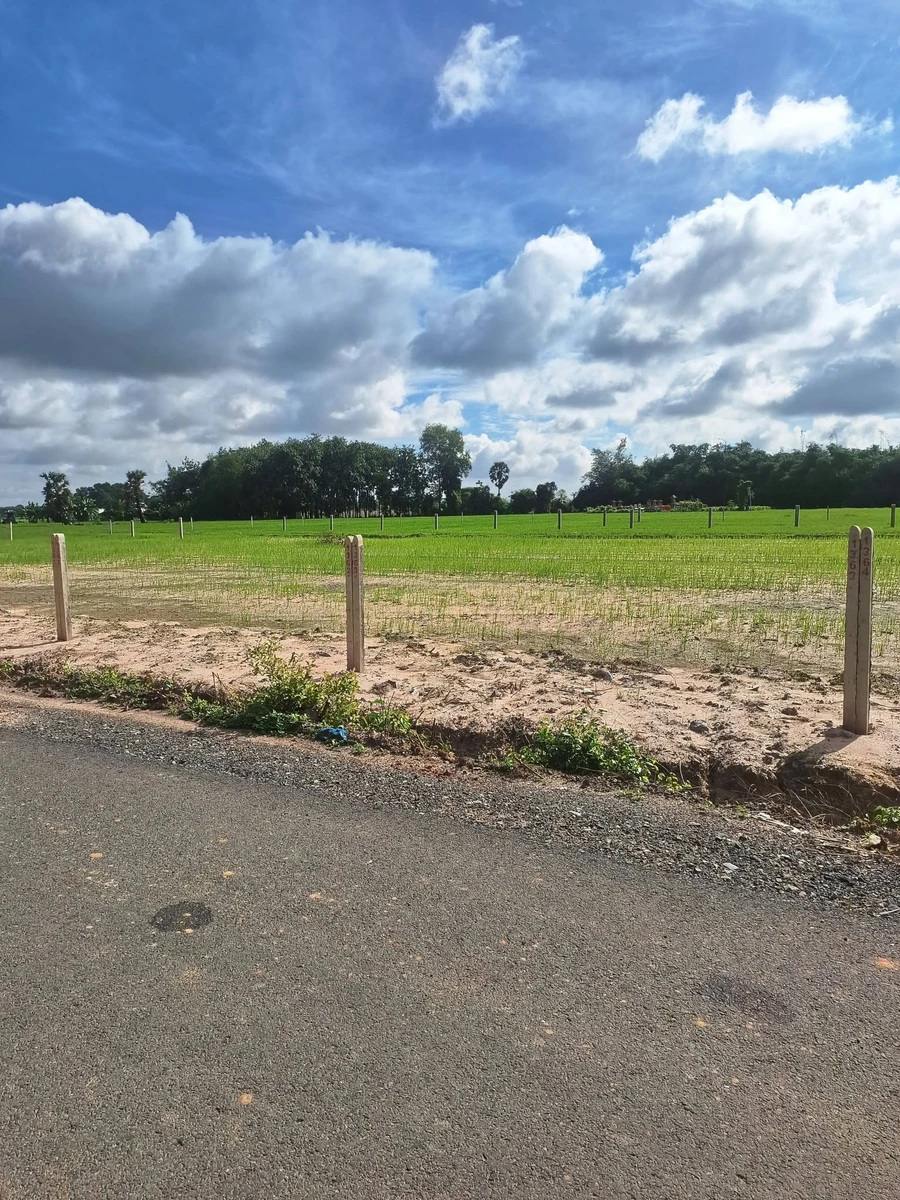 Bán lô đất 250m² đường nhựa Long Thuận, Tây Ninh - 199 triệu - Ảnh thu nhỏ 3