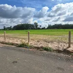 Bán lô đất 250m² đường nhựa Long Thuận, Tây Ninh - 199 triệu - Ảnh thu nhỏ 3