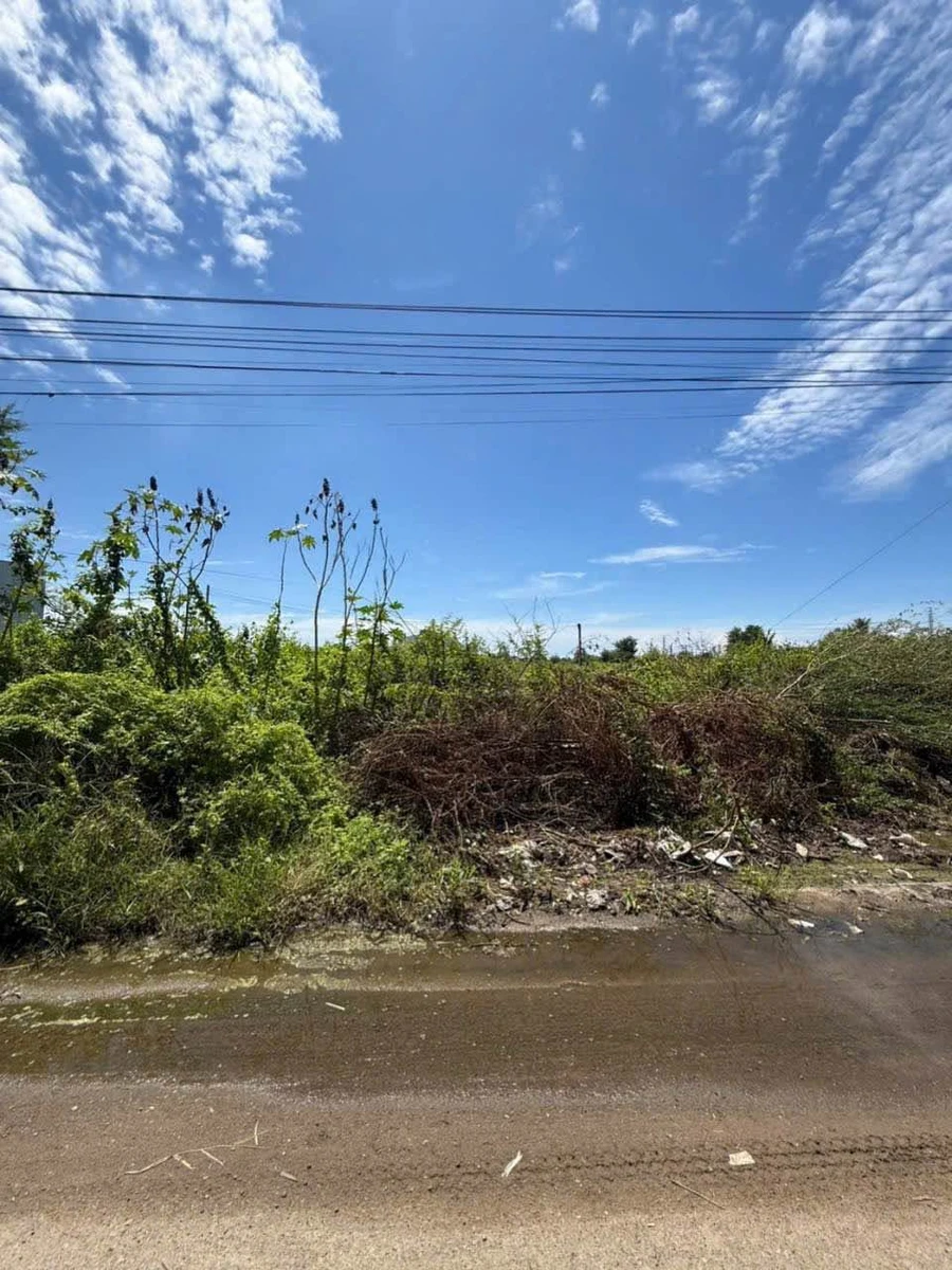 Bán đất 100m² Khu dân cư Bến Lội Lại An, Cần Giờ - 1,4 tỷ - Ảnh thu nhỏ 2