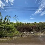 Bán đất 100m² Khu dân cư Bến Lội Lại An, Cần Giờ - 1,4 tỷ - Ảnh thu nhỏ 2