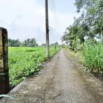 Bán 2000m² đất vườn 2 mặt tiền tại Tân An, Long An - Ảnh thu nhỏ 2