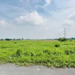 Bán đất mặt tiền Đê Bao Sông Vàm Cỏ Tây 250m2 Long An - Ảnh thu nhỏ 4