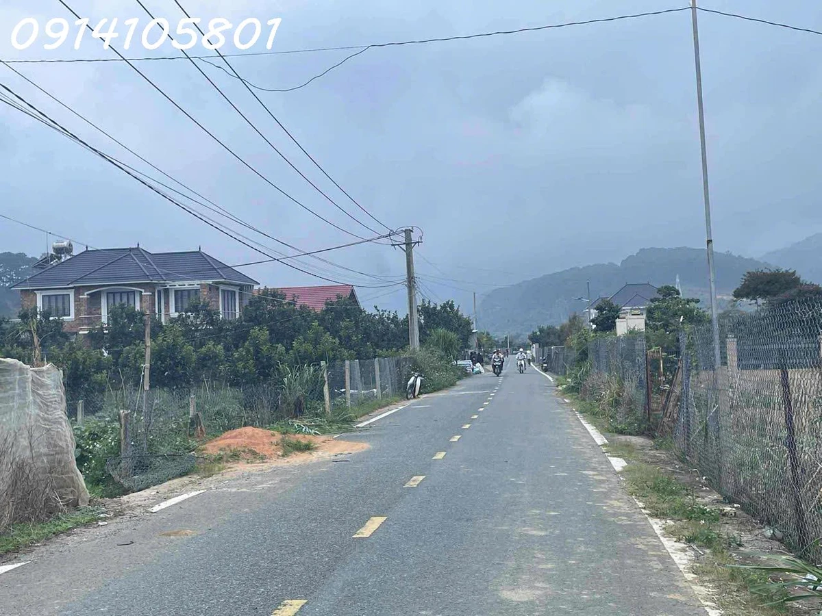 Bán đất thổ vườn có cây ăn trái - đất chính chủ tại Xã D'ran, Lâm Đồng, DT 2.156m2 - Ảnh thu nhỏ 3