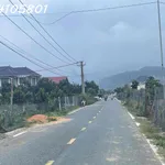 Bán đất thổ vườn có cây ăn trái - đất chính chủ tại Xã D'ran, Lâm Đồng, DT 2.156m2 - Ảnh thu nhỏ 3