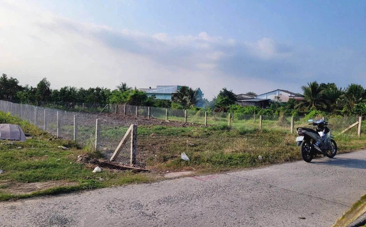 Đất thổ cư Tầm Vu Long An 220-280m2 từ 499 triệu - Ảnh thu nhỏ 2