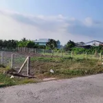 Đất thổ cư Tầm Vu Long An 220-280m2 từ 499 triệu - Ảnh thu nhỏ 2