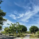 Hạ Giá 1,5tỷ Bán Nhanh Nhà Biệt Thự 300m2 View Công Viên KĐT An Bình Tân, Kề Bên Sun Charmora City - Ảnh thu nhỏ 6