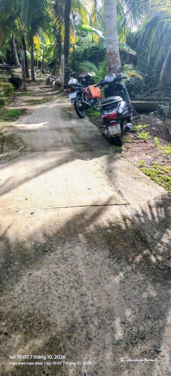 Bán nhà và đất 1000m2 tại Xã Tân Thạch, Tiền Giang 750 triệu - Ảnh thu nhỏ 2