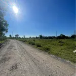 Cho thuê bãi công 15.000m2 Biên Hòa 15 triệu/tháng - Ảnh thu nhỏ 2