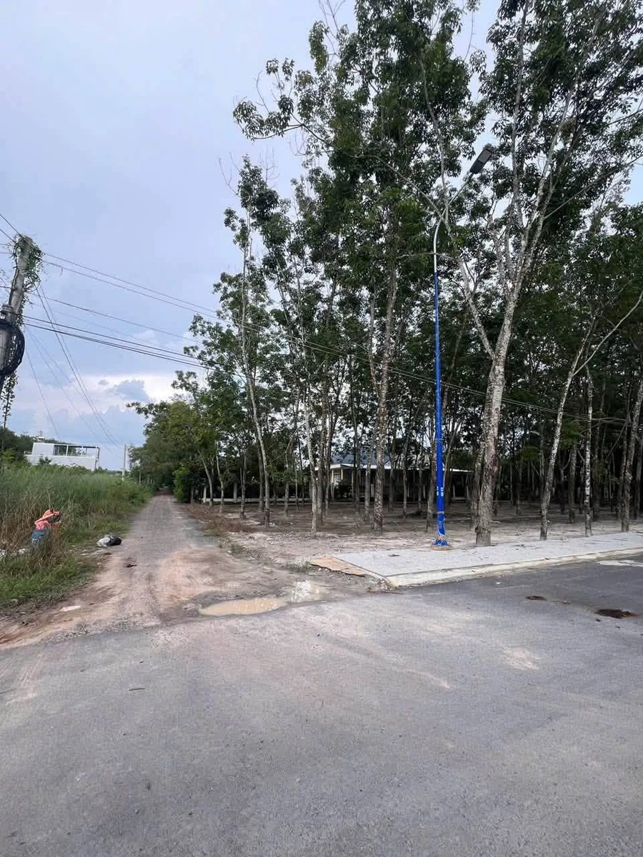 Bán 2 lô đất liền kề 5m mặt tiền Chơn Thành 100m2, 440 triệu - Ảnh thu nhỏ 2