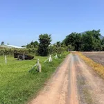 Bán đất Xã Phạn Nhà Bè 130m² 200 triệu - Ảnh thu nhỏ 2