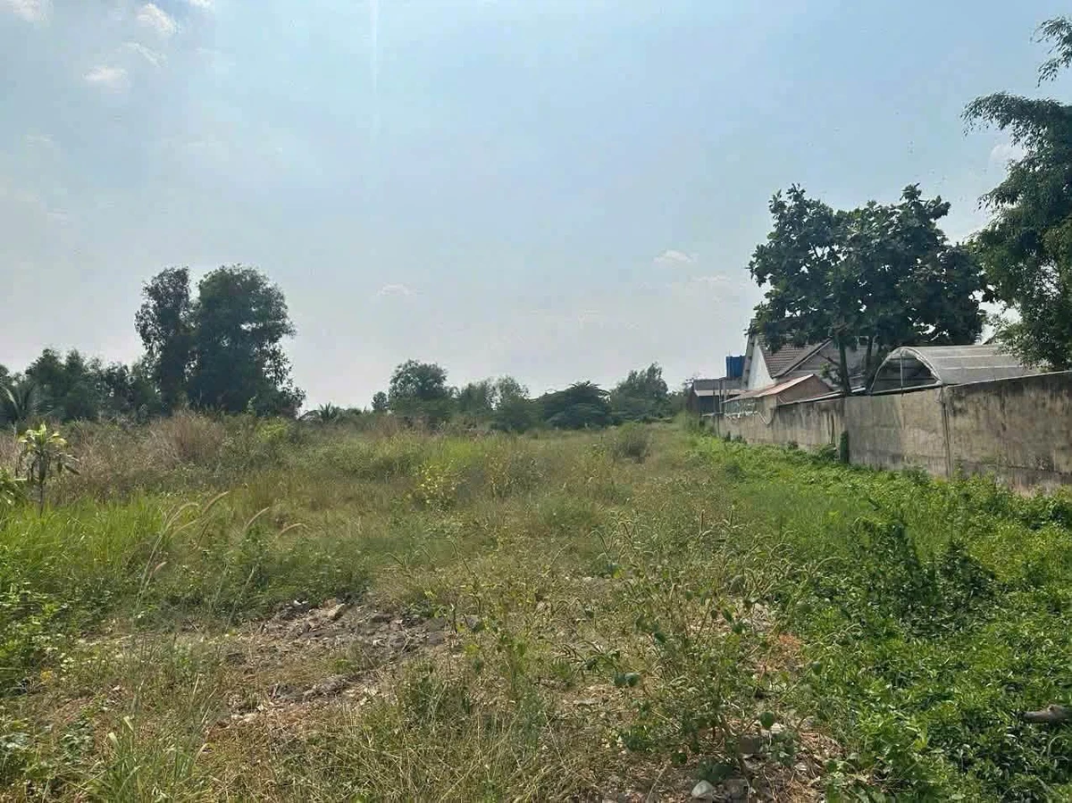 Bán đất 2000m2 kế KCN Lê Minh Xuân, Bình Chánh, giá 7,5 tỷ - Ảnh thu nhỏ 4