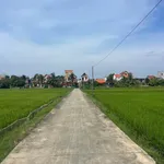 Bán lô đất 115m² Xã Mao Điền, Hải Phòng 1,9 tỷ - Ảnh thu nhỏ 4