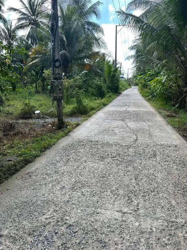 Bán mảnh vườn 1.029m² Bến Tre, Giồng Trôm