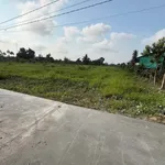 Bán đất 12x80m nở hậu, có sổ, ao cá, xã Tầm Vu, Tây Ninh - Ảnh thu nhỏ 4