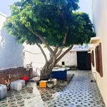 Nhà cấp 4 mặt tiền Phan Trung, Phan Thiết, 216m2, 5,1 tỷ - Ảnh thu nhỏ 4