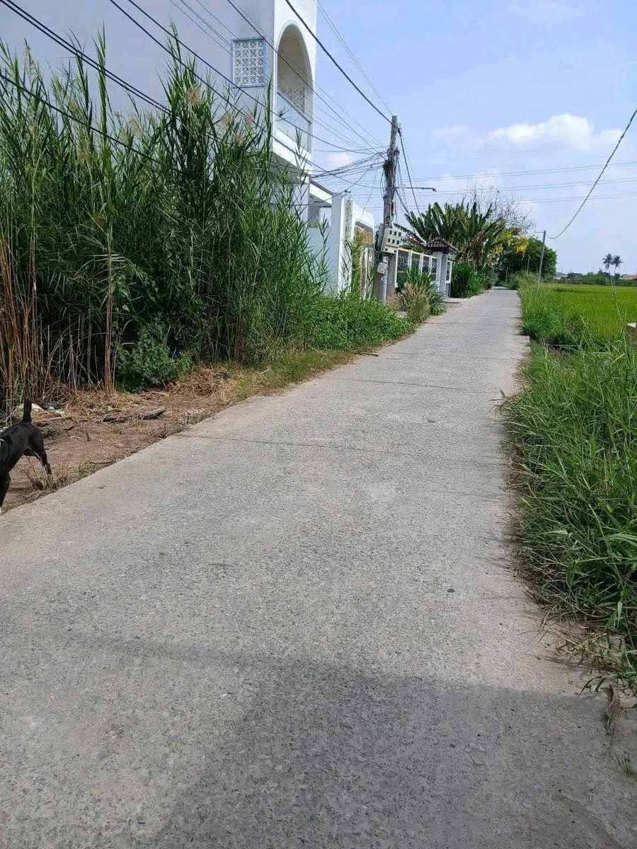 Bán lô đất thổ cư 115m² Thủ Thừa Long An - Ảnh thu nhỏ 2
