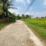Bán đất thổ cư 5x26m giá 800 triệu tại Mỹ Hạnh Nam, Đức Hòa, Long An - Ảnh thu nhỏ 3