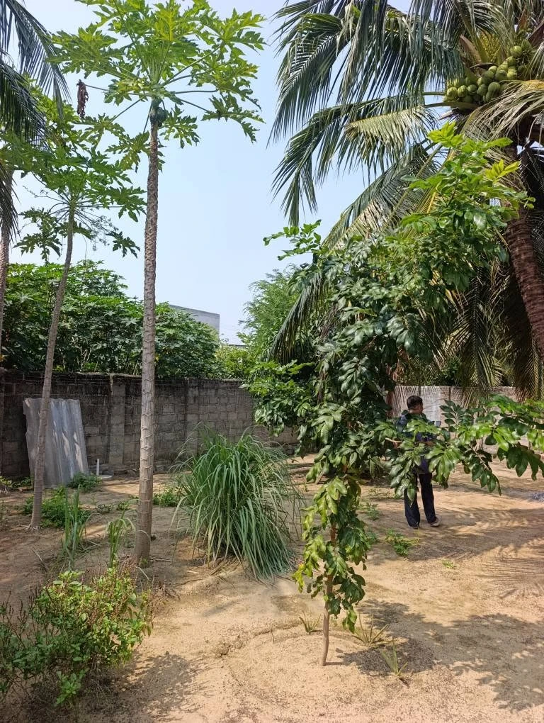 Bán đất vườn 400m² Long Bình 1, 1 tỷ 9xx triệu - Ảnh thu nhỏ 3