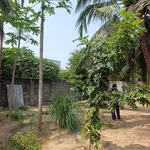 Bán đất vườn 400m² Long Bình 1, 1 tỷ 9xx triệu - Ảnh thu nhỏ 3