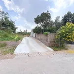 Bán đất 100m² gần full thổ cư Tiên Kiên, Phú Thọ 390 triệu - Ảnh thu nhỏ 2