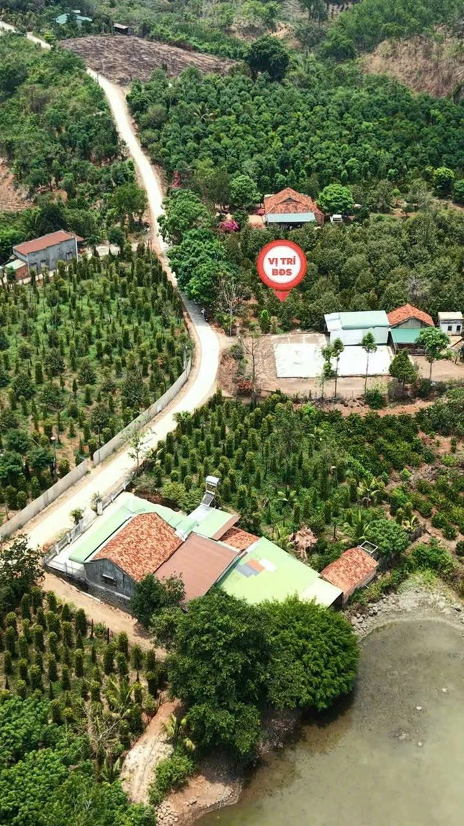 Bán 4ha5 đất Đắk Wil Lâm Đồng 3 tỷ 9 - Ảnh 1