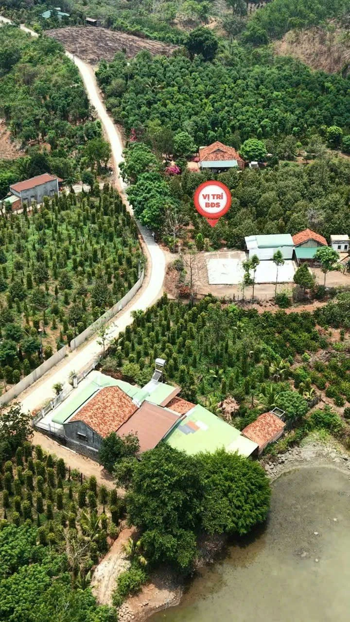 Bán 4ha5 đất Đắk Wil Lâm Đồng 3 tỷ 9 - Ảnh 1