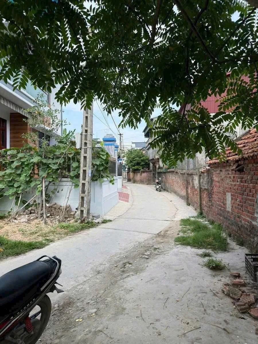 Bán đất Gia Lộc 88.2m2 gần KCN, 800 triệu - Ảnh thu nhỏ 3