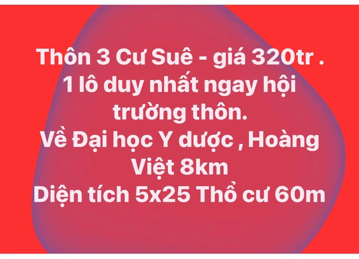 Bán đất Hóc Môn 125m² 320 triệu Ô Bàn Cờ - Ảnh thu nhỏ 2