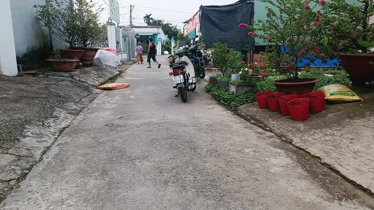 Bán 2 nền đất Tân Trụ, 155m² và 120m², từ 999tr - Ảnh thu nhỏ 2
