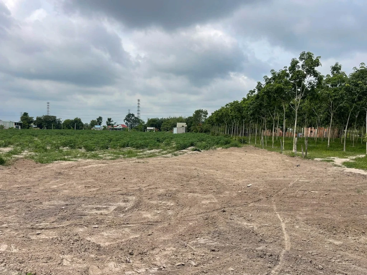 Bán đất THỔ CƯ 193m2 xây nhà trọ tại Nha Bích, 1 tỷ 2 - Ảnh thu nhỏ 4