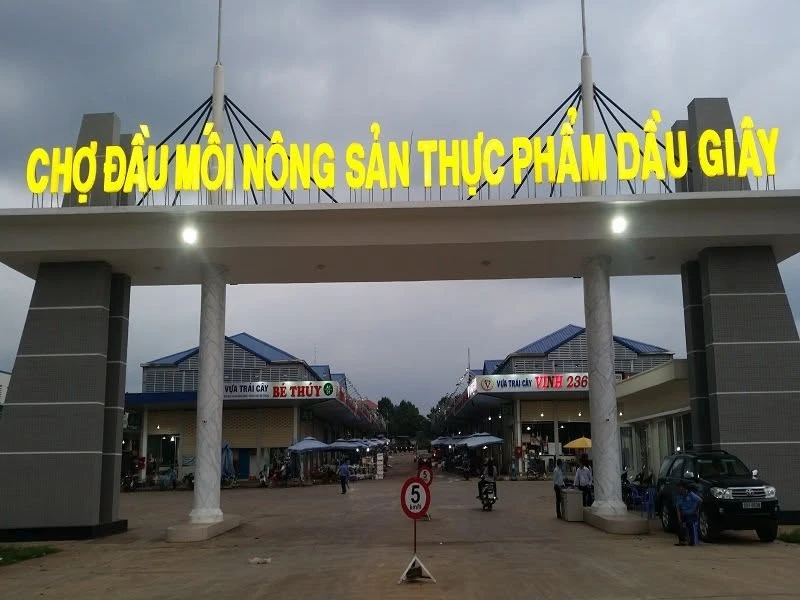 Bán lô đất 125m² có thổ cư tại KCN Dầu Giây, Bình Dương - Ảnh thu nhỏ 3