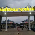 Bán lô đất 125m² có thổ cư tại KCN Dầu Giây, Bình Dương - Ảnh thu nhỏ 3
