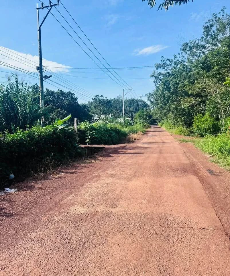 Bán đất Tân Phước, Bình Tân 480m2, 5 tỷ - Ảnh thu nhỏ 2